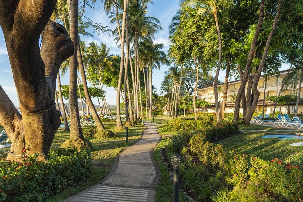 Hotel Tamarindo Diria Beach Resort Facilities photo